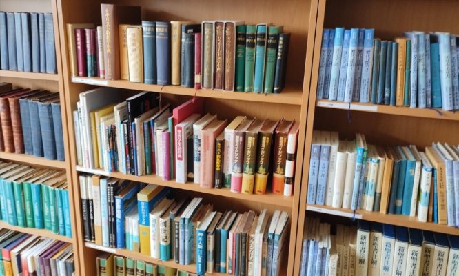 library bookshelves