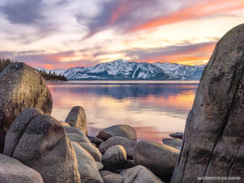 Panoramic view of Lake Tahoe with clear blue water, snow-dusted Sierra peaks, and evergreen trees in the foreground. Photo by Jessie Bradford.