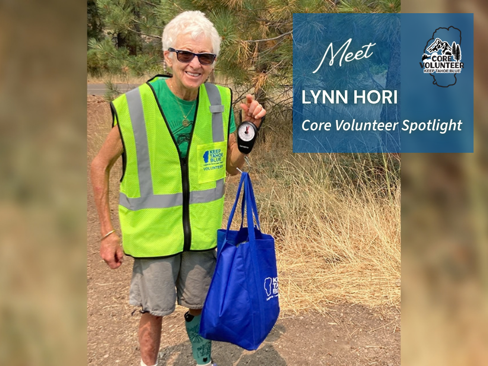 Image of our featured Core Volunteer, Lynn Hori