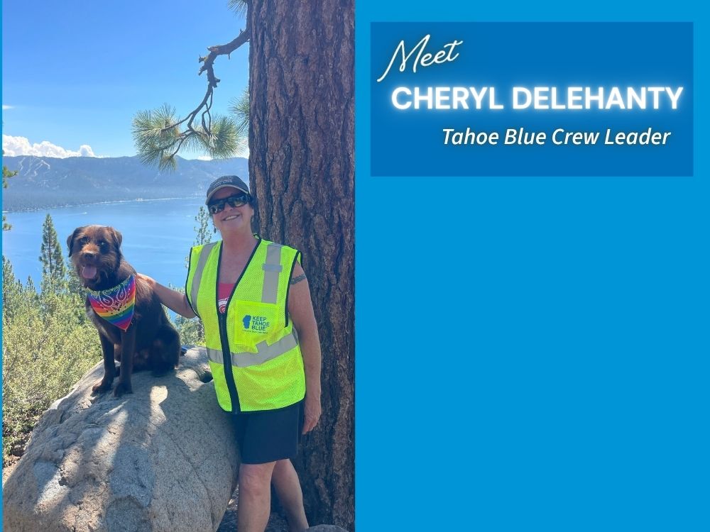 Tahoe Blue Crew Leader Spotlight, Cheryl Delehanty