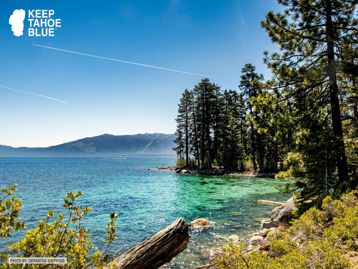 Scenic view of Fannette Island Tea House by Jesse Bradford