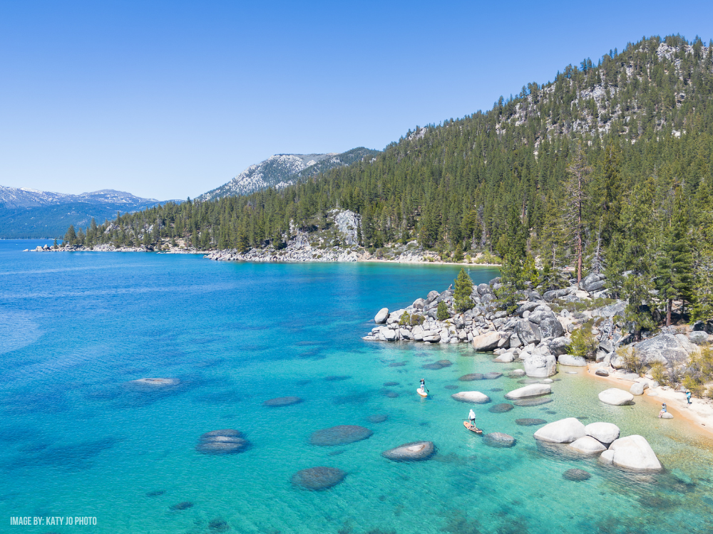 Invasive Aquatic Species awareness and water quality