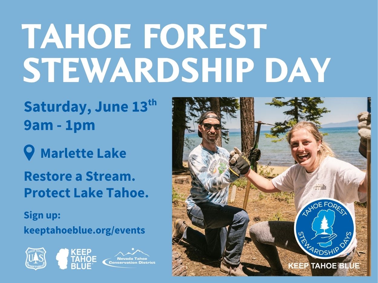 tahoe forest stewardship day image