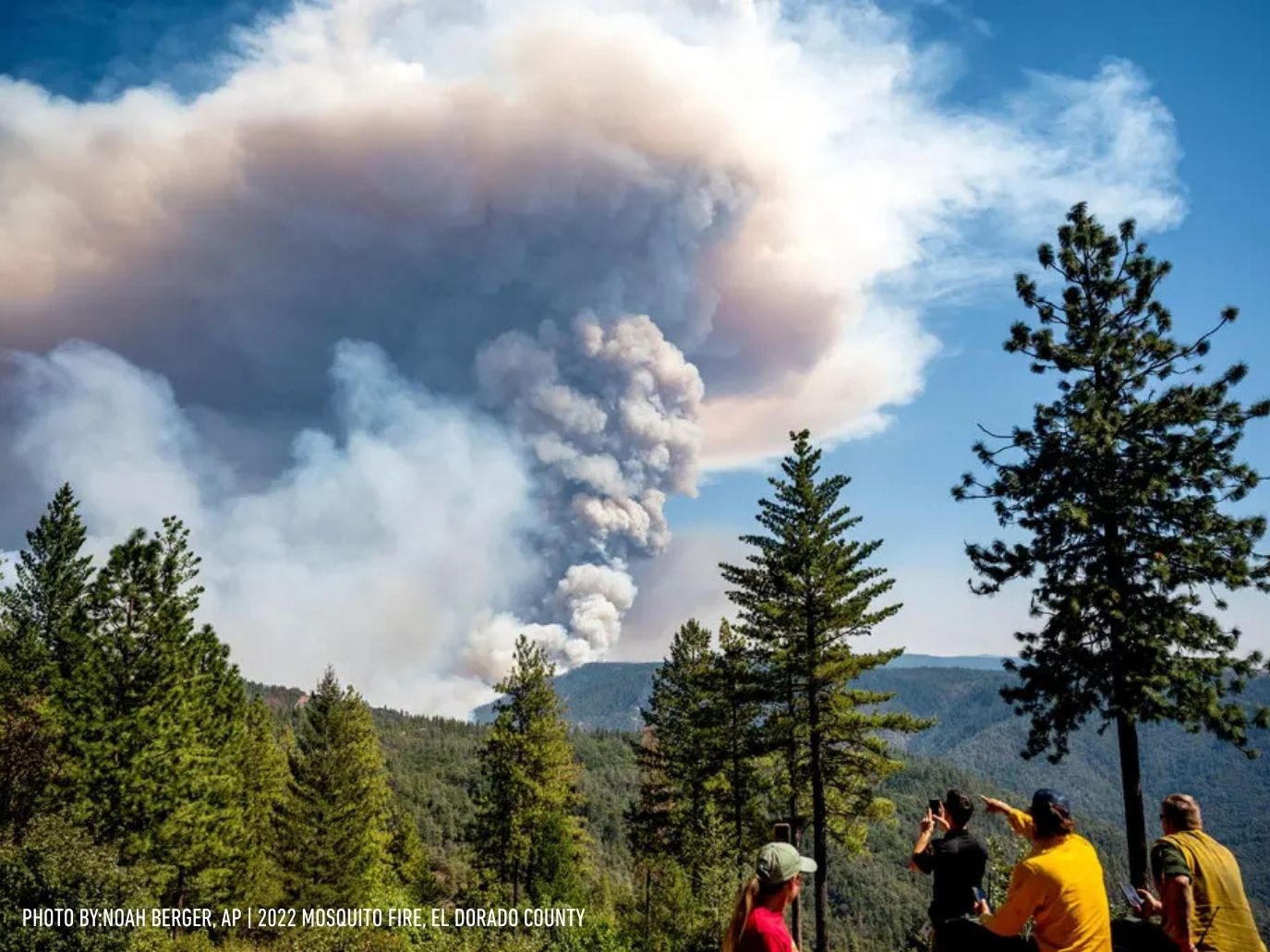 wildfire burns in the background