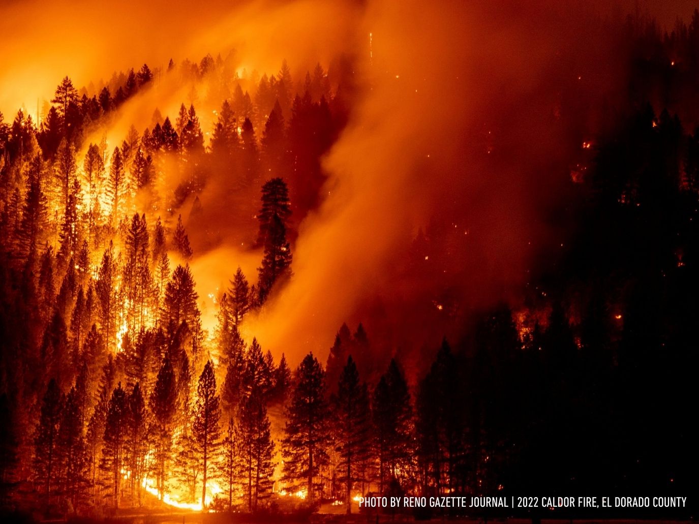 wildfire preparedness
