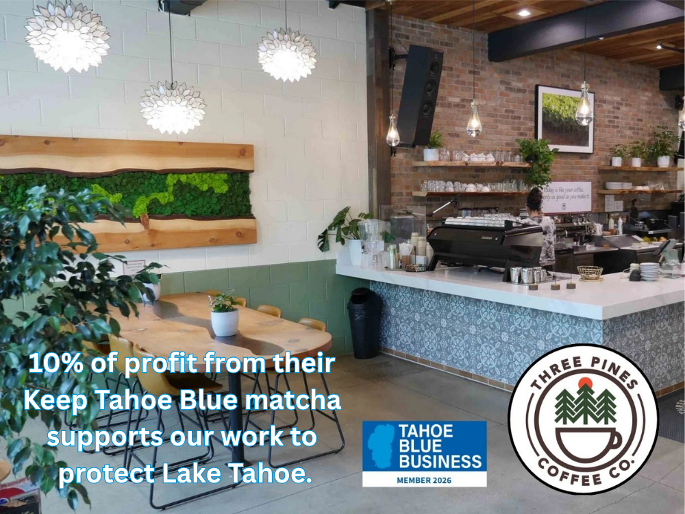 THREE PINES COFFEE COMPANY
