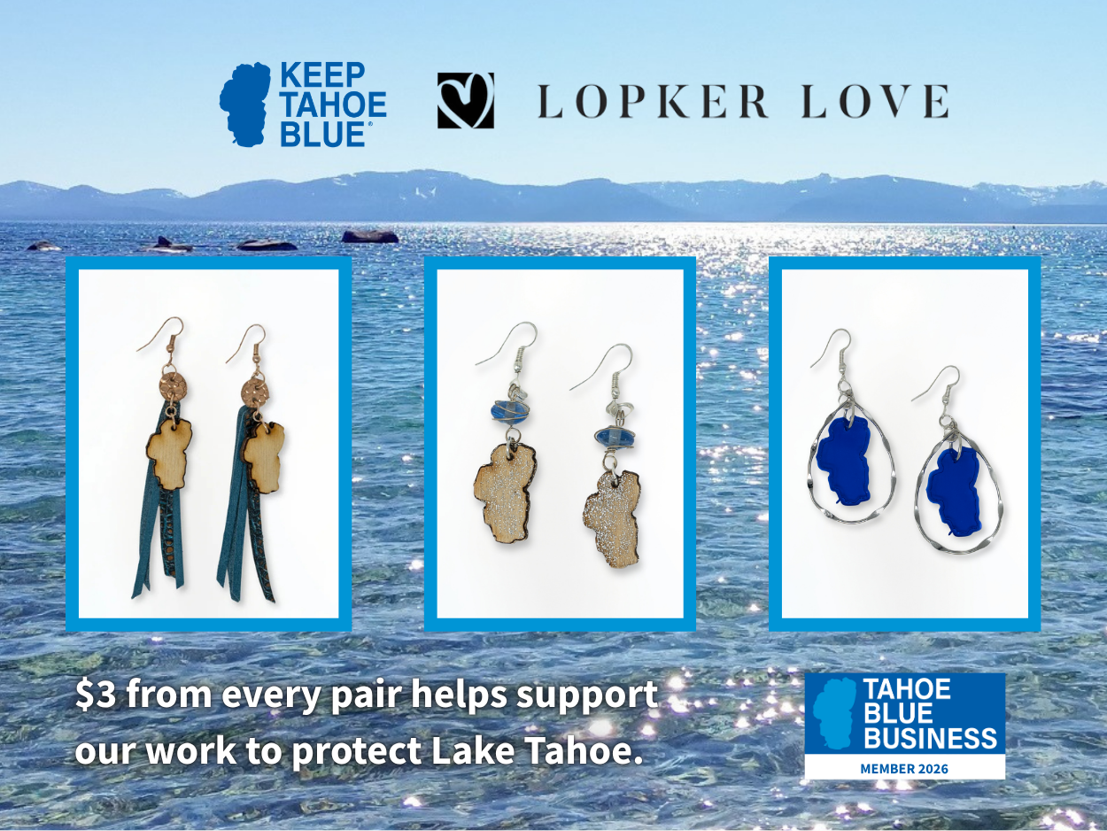 LOPKER LOVE EARRINGS