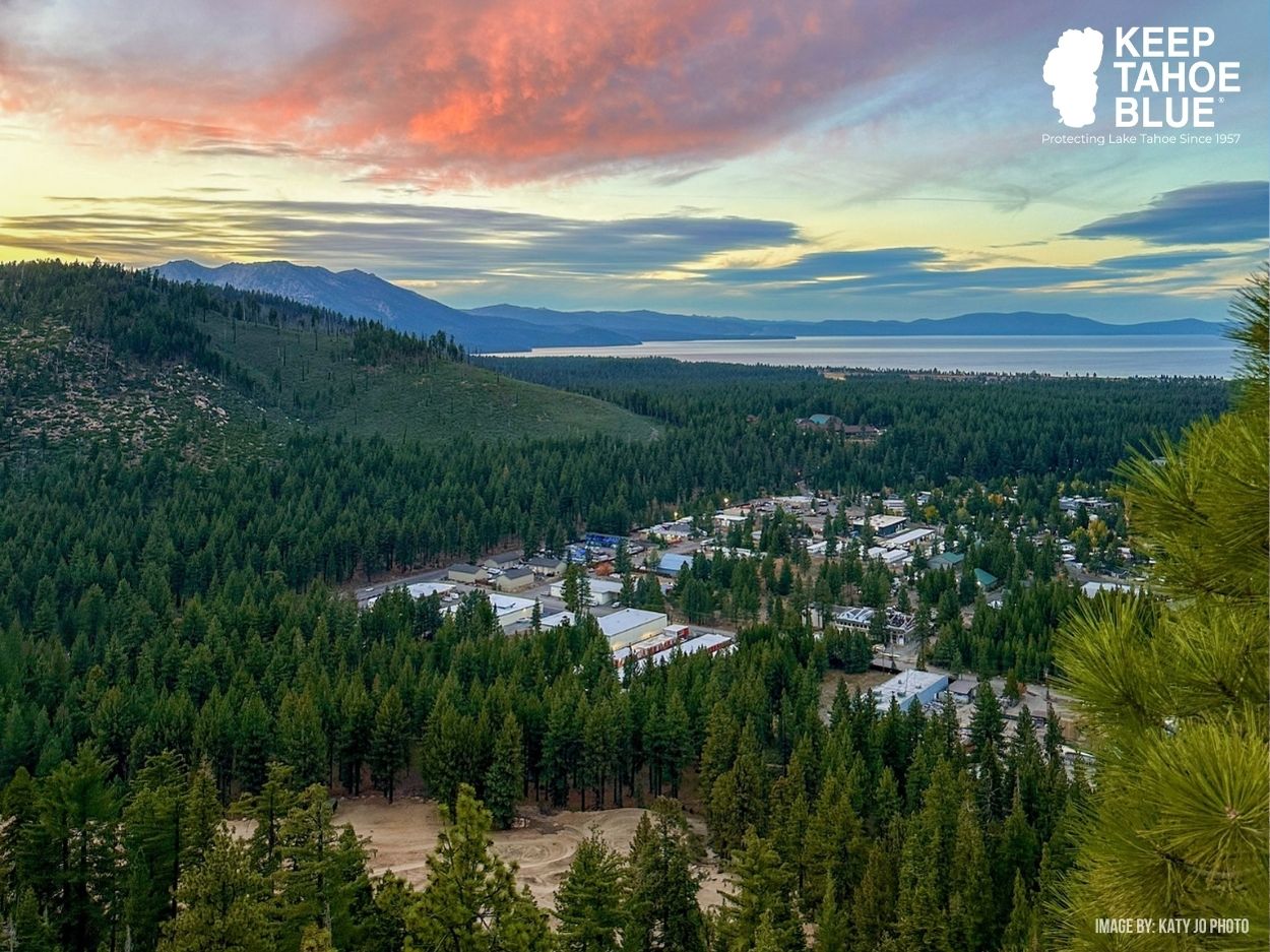 People swimming in Lake tahoe