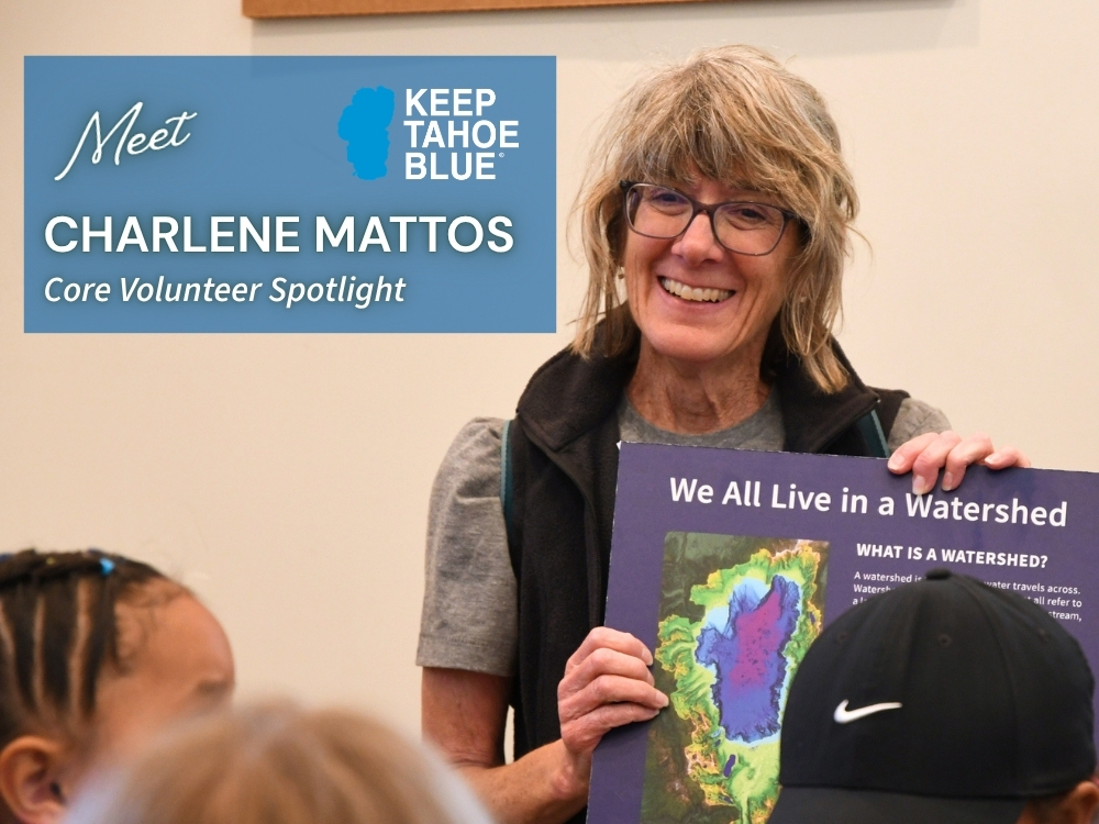 Image of our featured Core Volunteer, Charlene Mattos