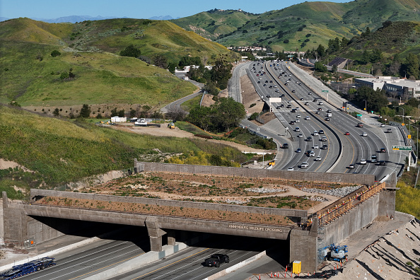 The Wallis Annenberg Wildlife Crossing