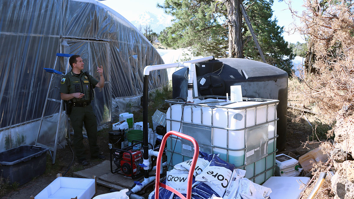 Siskiyou County Sheriff Jeremiah LaRue