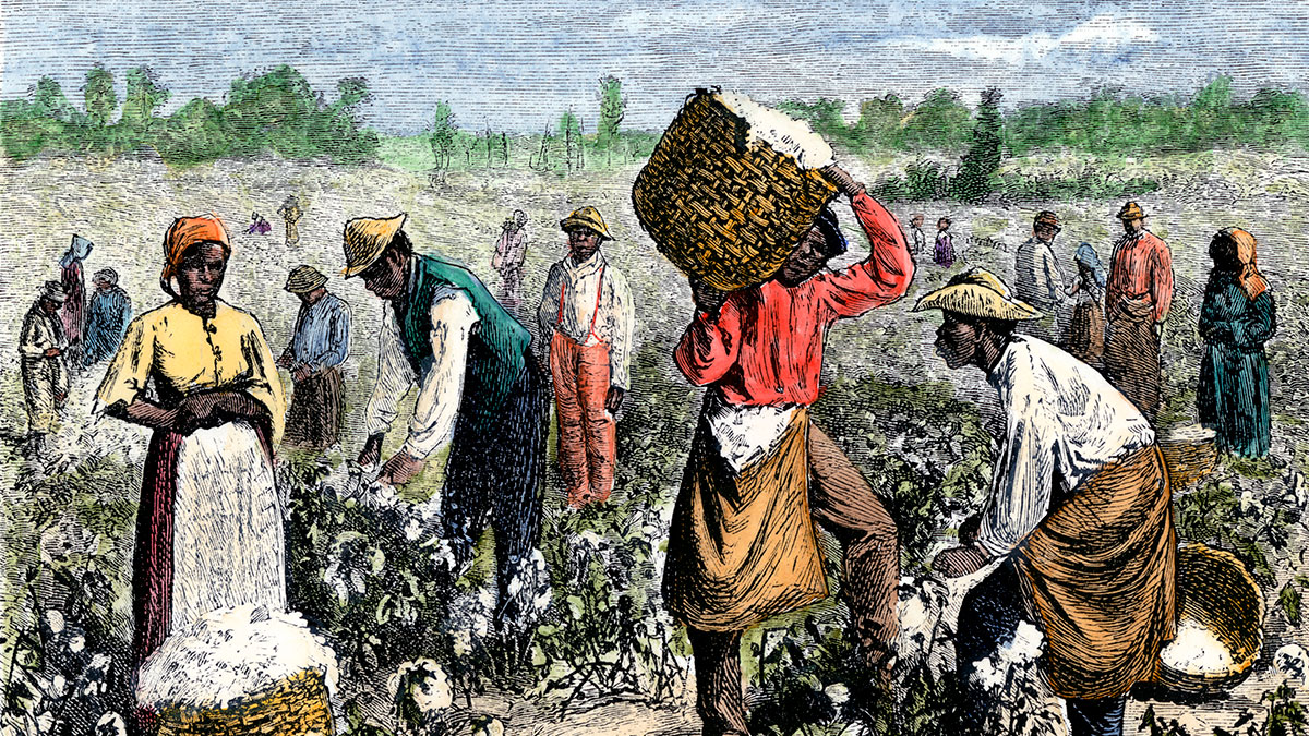 Slavery in the antebellum South was a brutal system that enriched individual planters but did not drive broad-based prosperity in the United States, contrary to the claims of writers such as Nikole Hannah-Jones and Ta-Nehisi Coates.