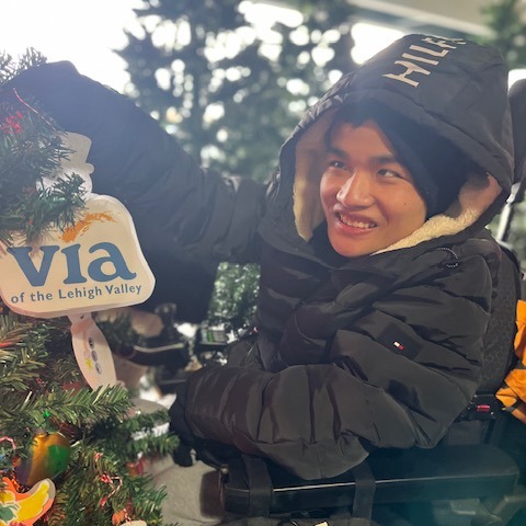 Winston hangs an ornament on the Via tree